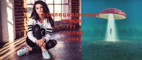 таблы Верхний Тагил